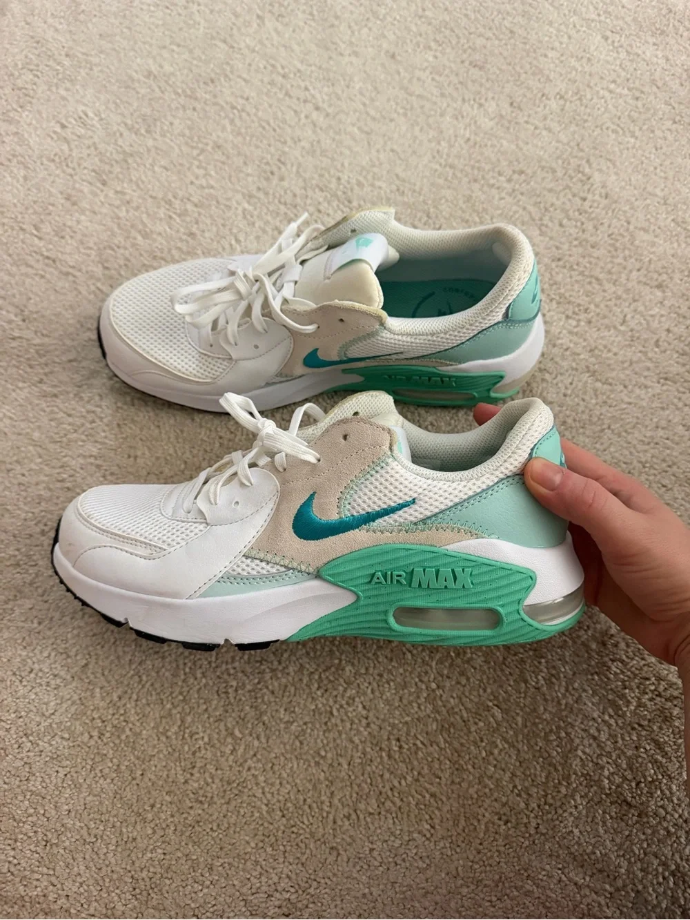 Nike Air Max Sneakers